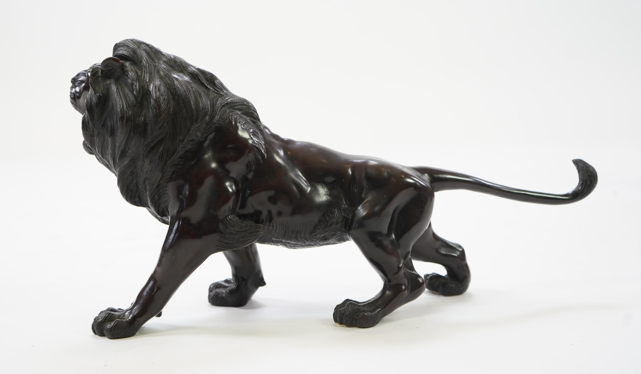 A Japanese patinated bronze okimono of a roaring lion, Meiji period